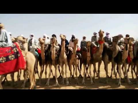 قبيلة الخزام