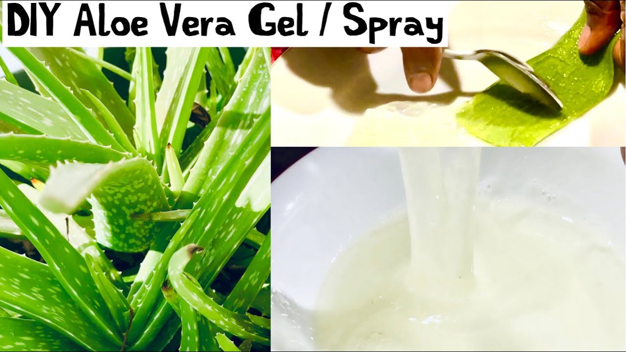 HOMEMADE ALOE VERA GEL/SPRAY- DIY | 100% Pure | How to make AloeVera Gel &  Preserve it for one year.