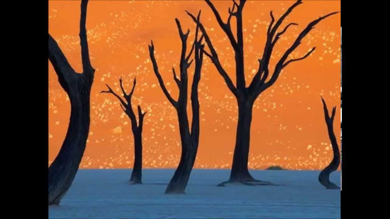 GEMA MONGE MIX MOF PROD