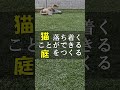 猫が落ち着くことができるクラピアの庭づくり #Shorts