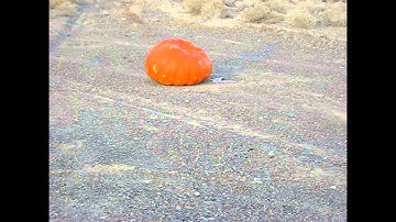 Blowing Up Big Pumpkin With Tannerite