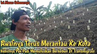 AWALNYA TERUS MERANTAU KE KOTA‼️ AKHIRNYA PAK PADI MEMUTUSKAN BERKEBUN DI TRANSMIGRASI‼️