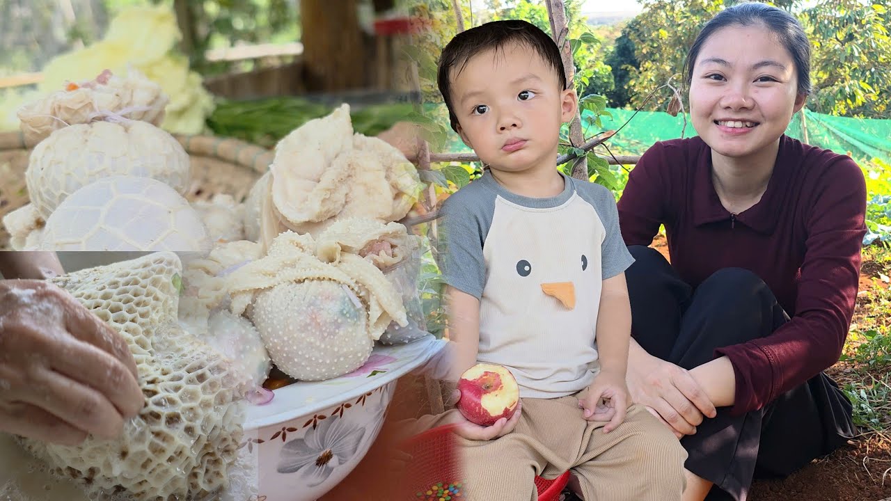 Фирменное блюдо Хайлендса–мать-одиночка готовит восхитительный фаршированный свиной желудок любовью