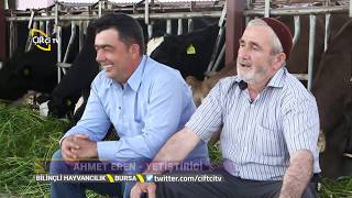 Karamba Ve Reygras Otunun Faydaları - Bilinçli Hayvancılık / Çiftçi TV