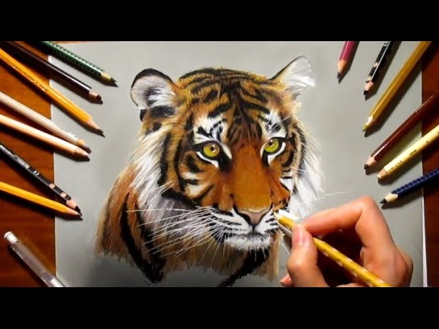 Realistic Colored Pencil Drawing and Review - YouTube