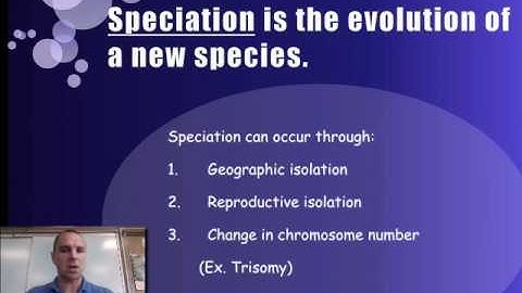 Mechanisms of Evolution Video 16