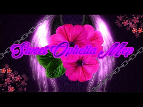 🌼 𝐒𝐖𝐄𝐄𝐓 𝐎𝐏𝐇𝐄𝐋𝐈𝐀