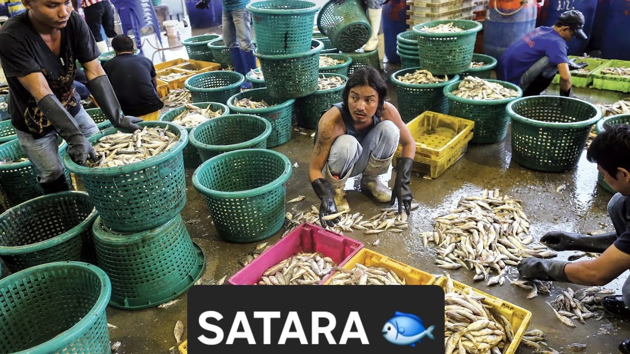 SATARA-Fish cutting involves cleaning, preparing, and portioning fish based on species and dish, 