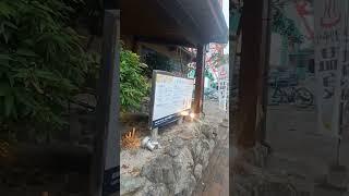 비오는 날, 후쿠오카 베이사이드 풍경과 나미하노유를 담아보았습니다. #후쿠오카 #베이사이드 #나미하노유 #일본여행 #완강시장