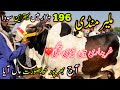 Malir Mandi Karachi Cattle Rates Update | 16 April 2024 |  Cow Mandi 2024