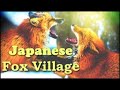 This Fox Village Proves Foxes are Domesticated