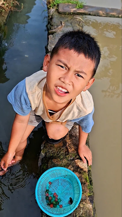 I'm leaving eggs #trendingshorts