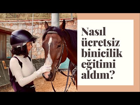 Nasıl ücretsiz binicilik eğitimi aldım? | Dilog