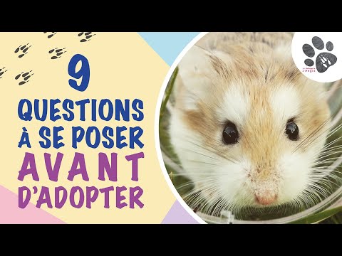 9 Questions À