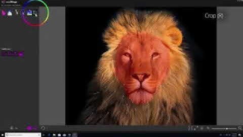 Getting Started with PhotoMirage low