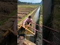 Bridge without any joints