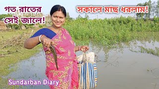 গত রাতের সেই জালে আবার খুব সকালে উঠে অনেক মাছ ধরলাম! Sundarban Diary