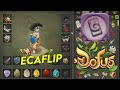 Ecaflip mega rekop sur dofus 3000