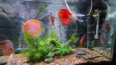 Why I am doing things differently. 