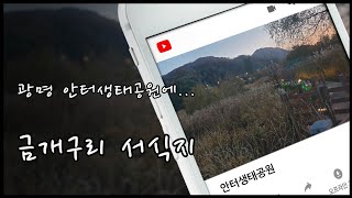안터생태공원 영상