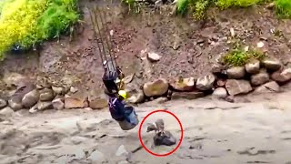 Construction worker climbs into crane bucket and swings out over river to help lost dog