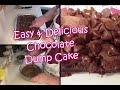 Easy & Delicious Chocolate Dump Cake