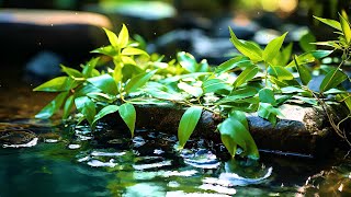 Beautiful Relaxing Music for Stress Relief - Water Sounds, Sleep Music, Study Music, Calming Music