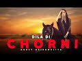 Dil di chorni official song  honey haibowalia  new punjabi songs 2023  latest punjabi songs2023