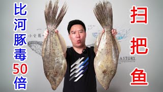 Try to eat highly toxic broom fish, which is more than 50 times more toxic than fugu poison. I'm so