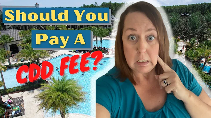 CDD FEES Florida - 5 Things you NEED to Know
