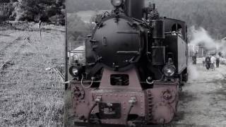 Mocanita Narrow Line Turda - Abrud