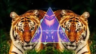 Romeo Nam Mera remix DJ max and DJ Swapnil JSM DJ remix song