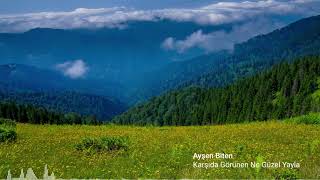 Ayşen Biten Karşıda Görünen Yayla Resimi