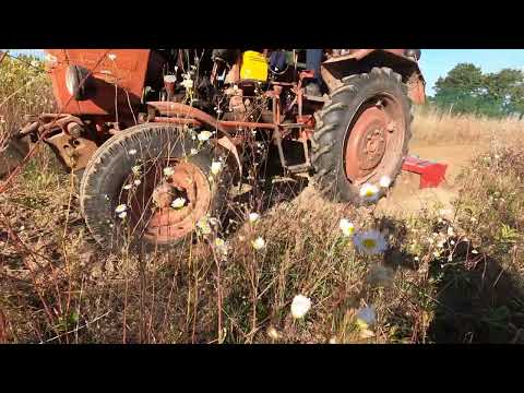 Wild Boar 1.4m rotary tiller for compact tractors in action. For sale: 067 412 39 27. Price: 35,2...