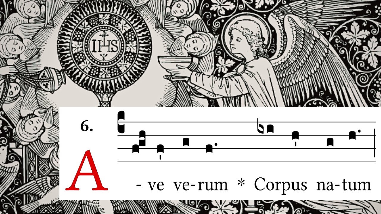 Ave verum - hymn for Benediction of the Blessed Sacrament - YouTube