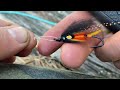 Making the Perfection Knot on Peacock Flies