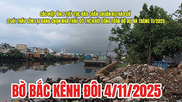 Bờ Bắc Kênh Đôi: Cập nhật hình ảnh tháo dỡ cầu Hiệp Ân 2 ngày 4/11/2025- Đâu Đó Sai gon