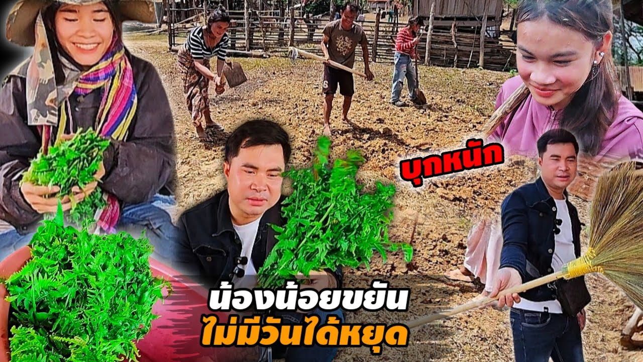ที่บ้านน้องสุขกำลังมีการเปลี่ยนแปลง 1 มีนาคม ค.ศ. 2026