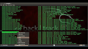 3. Client-Side attack_(Browser) with metasploit