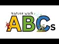 Nature and Environment Quiz