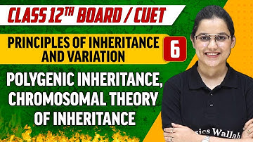 Principles of Inheritance And Variation 06 | Chromosomal Theory of Inheritance | Class 12th/CUET