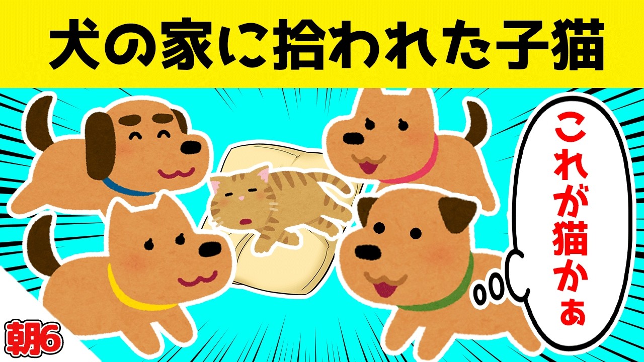 犬だらけの家に、元野良の子猫が拾われた結果ｗｗｗ