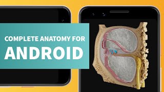 Complete Anatomy 2021 for Android