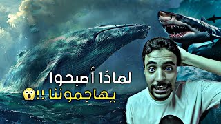 لماذا اصبحت الحيوانات البحرية تتصرف هكذا