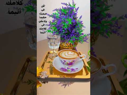 حبيبي ياعمري انا كلي جراح عمرو دياب