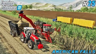 Tillage and Sowing; A New Course in Sugar Production | American Falls Farm | FS 22 | Timelapse #25