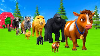 Long Slide Game With Cow Elephant Gorilla Hippopotamus Tiger 3d Animal Game Funny 3d Animals screenshot 5