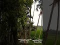 শীতের মৌসুমে Mymensingsh Divition.আমাদের ময়মনসিংহ সদর এর গ্রামের সুন্দয.place folloing my you tub