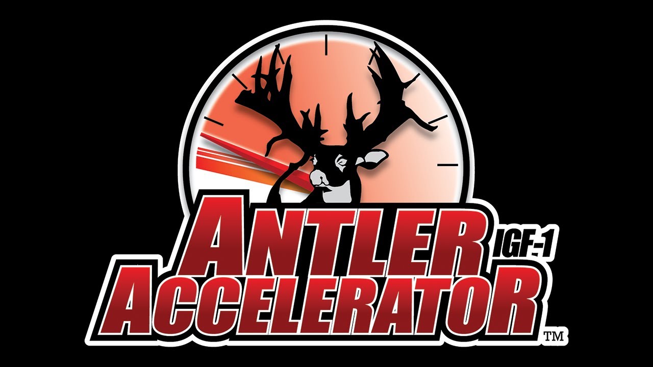 Introducing Antler Accelerator IGF 1 YouTube introducing-antler-accelerator-igf-1-youtube
