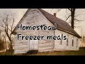 Homestead Freezer Meals, Lasagna,  Salisbury Steak, BIG HELP!